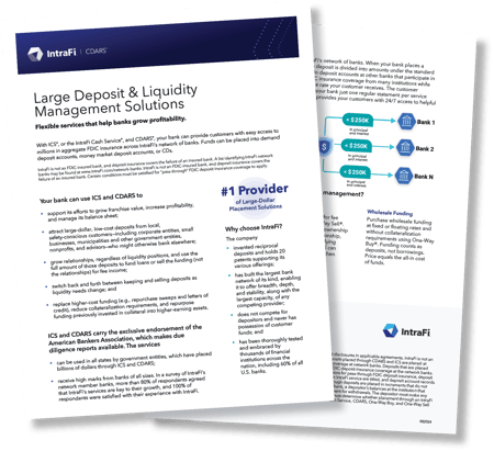 LargeBank_Liquidity_Image